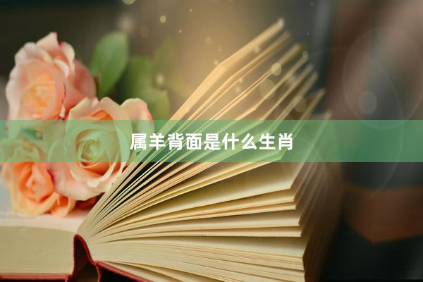 属羊背面是什么生肖